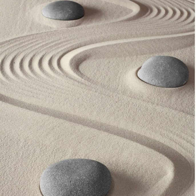The Calm Edit: Finding Your Calm Wave Through Zen Gardens