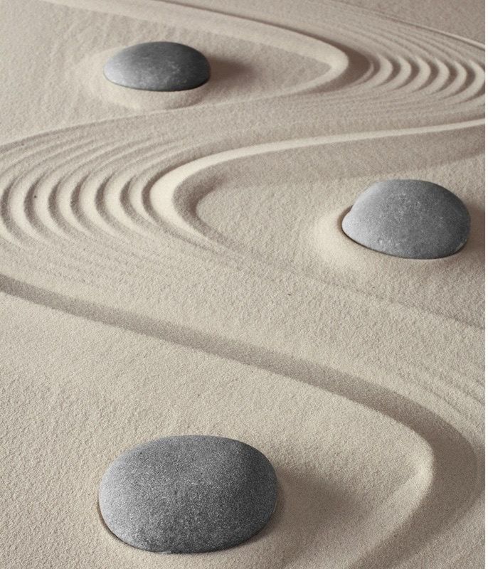 The Calm Edit: Finding Your Calm Wave Through Zen Gardens
